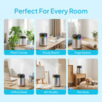 Livatro 7L humidifier room use cases